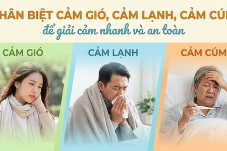 Phân biệt cảm gió, cảm lạnh, cảm cúm để giải cảm nhanh và an toàn