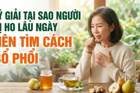 Lý giải tại sao người bị ho lâu ngày nên tìm cách bổ phổi