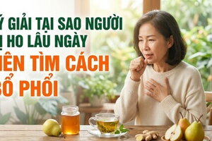 Lý giải tại sao người bị ho lâu ngày nên tìm cách bổ phổi