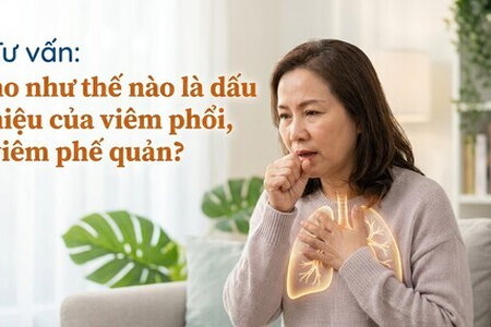 Tư vấn: ho như thế nào là dấu hiệu của viêm phổi, viêm phế quản?