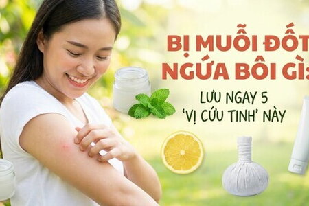 Bị muỗi đốt ngứa bôi gì: lưu ngay 5 "vị cứu tinh" này