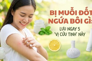Bị muỗi đốt ngứa bôi gì: lưu ngay 5 "vị cứu tinh" này
