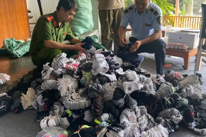 Công an Hà Nội phát hiện hơn 5.400 sản phẩm giả nhãn hiệu Nike, Adidas, Puma