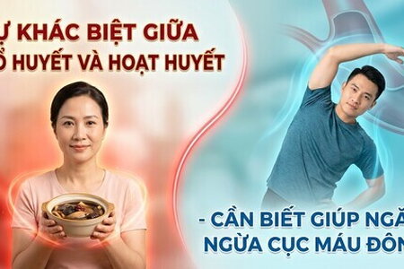 Sự khác biệt giữa bổ huyết và hoạt huyết - ngăn ngừa cục máu đông