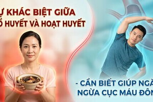 Sự khác biệt giữa bổ huyết và hoạt huyết - ngăn ngừa cục máu đông