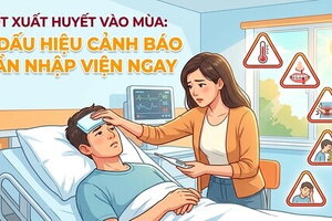 Sốt xuất huyết vào mùa: 5 dấu hiệu cảnh báo cần nhập viện ngay