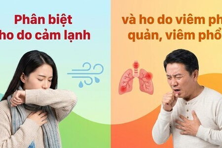 Phân biệt ho do cảm lạnh và ho do viêm phế quản, viêm phổi