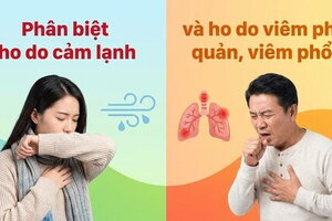 Phân biệt ho do cảm lạnh và ho do viêm phế quản, viêm phổi