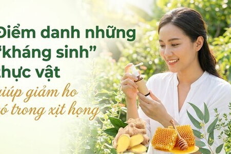 Điểm danh những "kháng sinh" thực vật giúp giảm ho có trong xịt họng