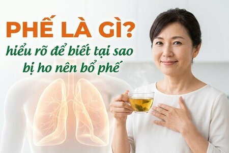 Phế là gì? hiểu rõ để biết tại sao bị ho nên bổ phế