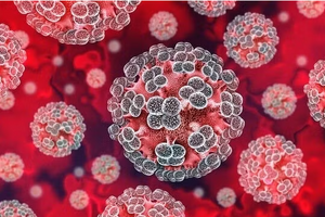 Chuyên gia lên tiếng về 'hiểm họa toàn cầu mang tên virus Hanta'