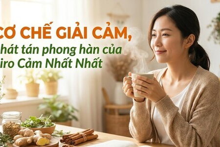 Cơ chế giải cảm, phát tán phong hàn của Siro Cảm Nhất Nhất