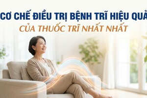 Cơ chế điều trị bệnh trĩ hiệu quả của Thuốc Trĩ Nhất Nhất