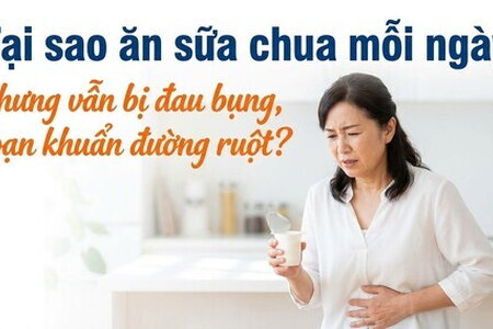 Tại sao ăn sữa chua mỗi ngày nhưng vẫn bị loạn khuẩn đường ruột?