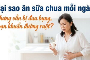 Tại sao ăn sữa chua mỗi ngày nhưng vẫn bị loạn khuẩn đường ruột?