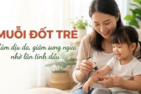 Muỗi đốt trẻ: làm dịu da, giảm sưng ngứa nhờ lăn tinh dầu