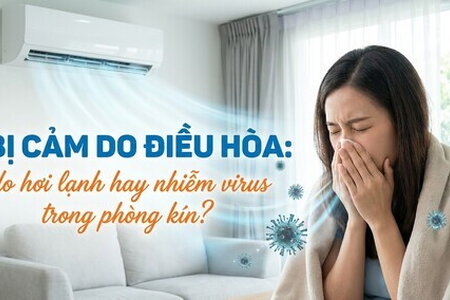 Bị cảm do điều hòa: do hơi lạnh hay nhiễm virus trong phòng kín?