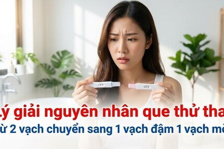 Nguyên nhân que thử thai từ 2 vạch chuyển sang 1 vạch đậm 1 vạch mờ