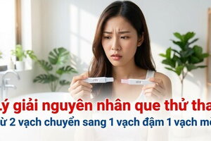 Nguyên nhân que thử thai từ 2 vạch chuyển sang 1 vạch đậm 1 vạch mờ