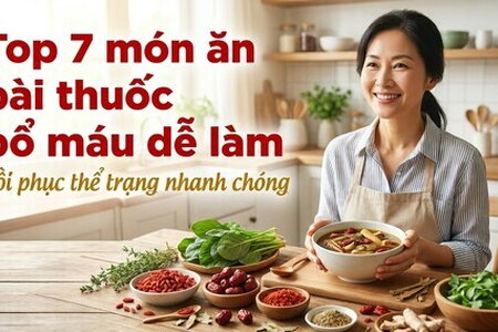 Top 7 món ăn bài thuốc bổ máu dễ làm: hồi phục thể trạng nhanh chóng