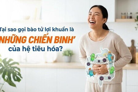 Tại sao gọi bào tử lợi khuẩn là "những chiến binh" của hệ tiêu hóa?