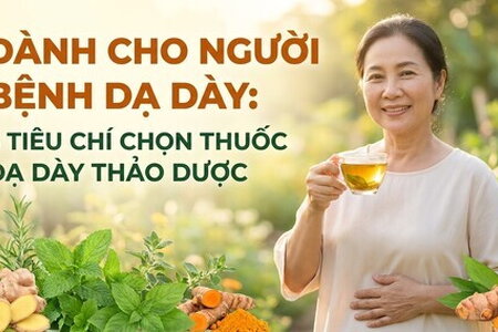 Dành cho người bệnh dạ dày: 5 tiêu chí chọn thuốc dạ dày thảo dược