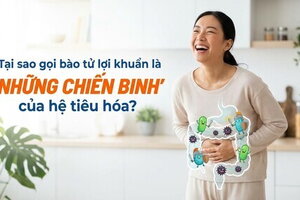 Tại sao gọi bào tử lợi khuẩn là "những chiến binh" của hệ tiêu hóa?