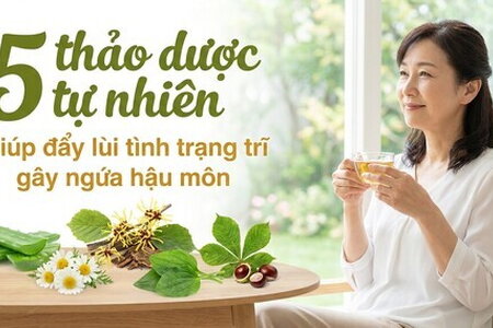 5 thảo dược tự nhiên giúp đẩy lùi tình trạng trĩ gây ngứa hậu môn