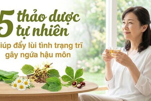 5 thảo dược tự nhiên giúp đẩy lùi tình trạng trĩ gây ngứa hậu môn