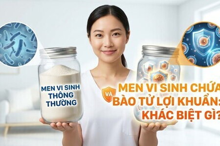 Men vi sinh thông thường và men vi sinh chứa bào từ lợi khuẩn