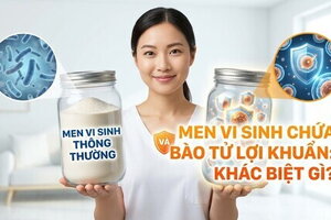 Men vi sinh thông thường và men vi sinh chứa bào từ lợi khuẩn