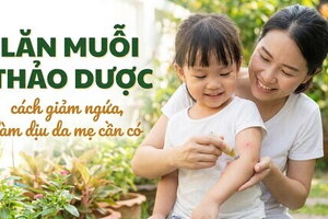 Lăn muỗi thảo dược - cách giảm ngứa, làm dịu da mẹ cần có