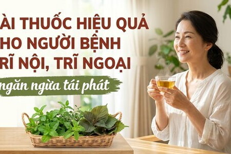 Bài thuốc hiệu quả cho người bệnh trĩ nội, trĩ ngoại, ngừa tái phát
