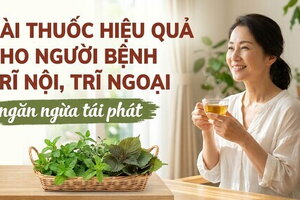 Bài thuốc hiệu quả cho người bệnh trĩ nội, trĩ ngoại, ngừa tái phát
