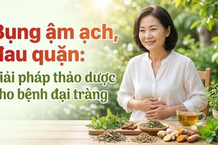 Bụng ậm ạch, đau quặn: giải pháp thảo dược cho bệnh đại tràng