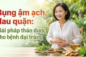 Bụng ậm ạch, đau quặn: giải pháp thảo dược cho bệnh đại tràng