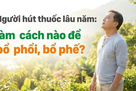Người hút thuốc lâu năm: làm cách nào để bổ phổi, bổ phế?