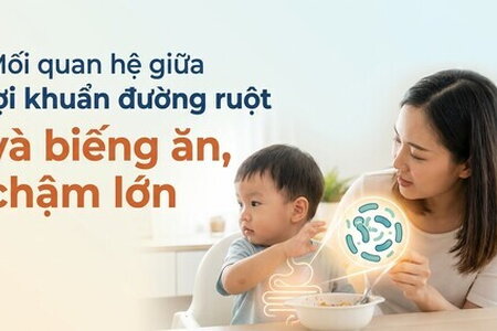 Mối quan hệ giữa lợi khuẩn đường ruột và biếng ăn, chậm lớn