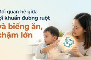 Mối quan hệ giữa lợi khuẩn đường ruột và biếng ăn, chậm lớn