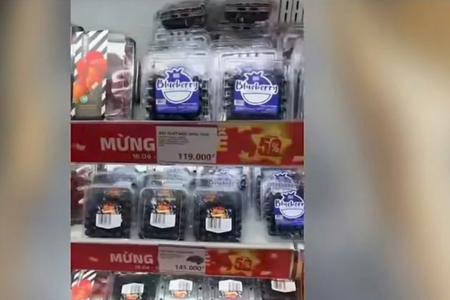 Dựng vùng trồng giả ở Sơn La, đường dây nhập lậu gần 19 tấn việt quất qua mặt siêu thị