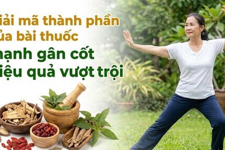 Giải mã thành phần của bài thuốc mạnh gân cốt hiệu quả vượt trội