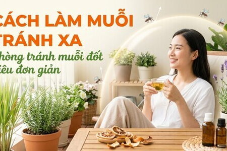 Cách làm muỗi tránh xa, phòng tránh muỗi đốt siêu đơn giản