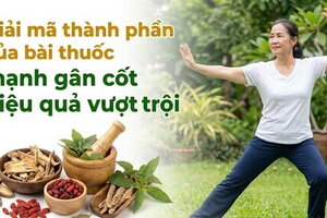 Giải mã thành phần của bài thuốc mạnh gân cốt hiệu quả vượt trội