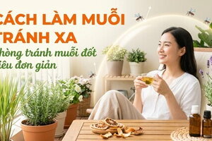 Cách làm muỗi tránh xa, phòng tránh muỗi đốt siêu đơn giản