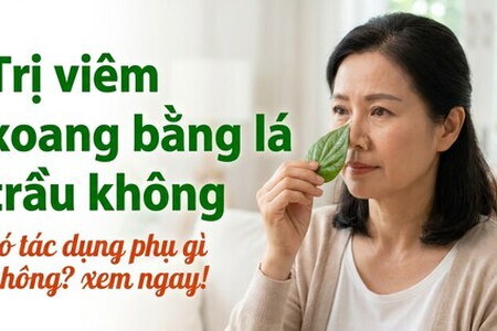Trị viêm xoang bằng lá trầu không có tác dụng phụ gì không? xem ngay!