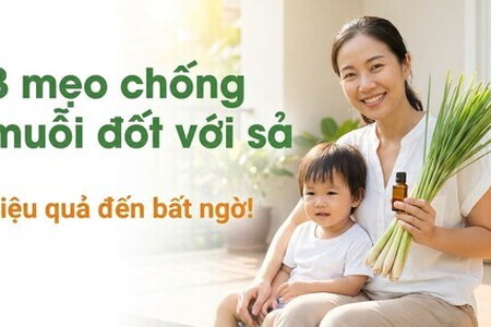 3 mẹo chống muỗi đốt với sả: hiệu quả đến bất ngờ!
