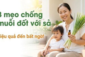 3 mẹo chống muỗi đốt với sả: hiệu quả đến bất ngờ!