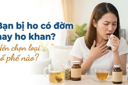 Bạn bị ho có đờm hay ho khan? Nên chọn loại bổ phế nào?