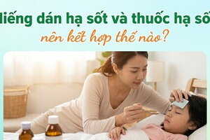 Miếng dán hạ sốt và thuốc hạ sốt: nên kết hợp thế nào?
