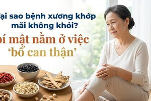 Tại sao bệnh xương khớp mãi không khỏi? bí mật nằm ở "bổ can thận"